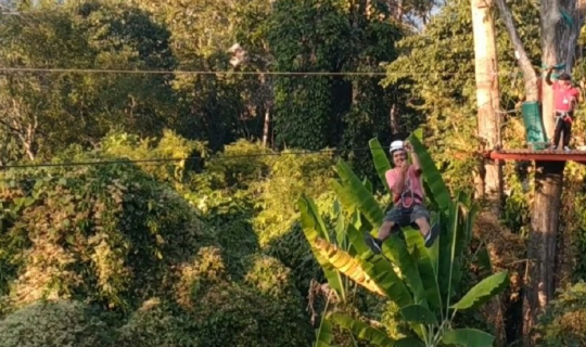 cover ชมความงามสวนแม่ฟ้าหลวงและทดสอบความเสียว@Doi Tung Tree Top Walk & Zipline เชียงราย