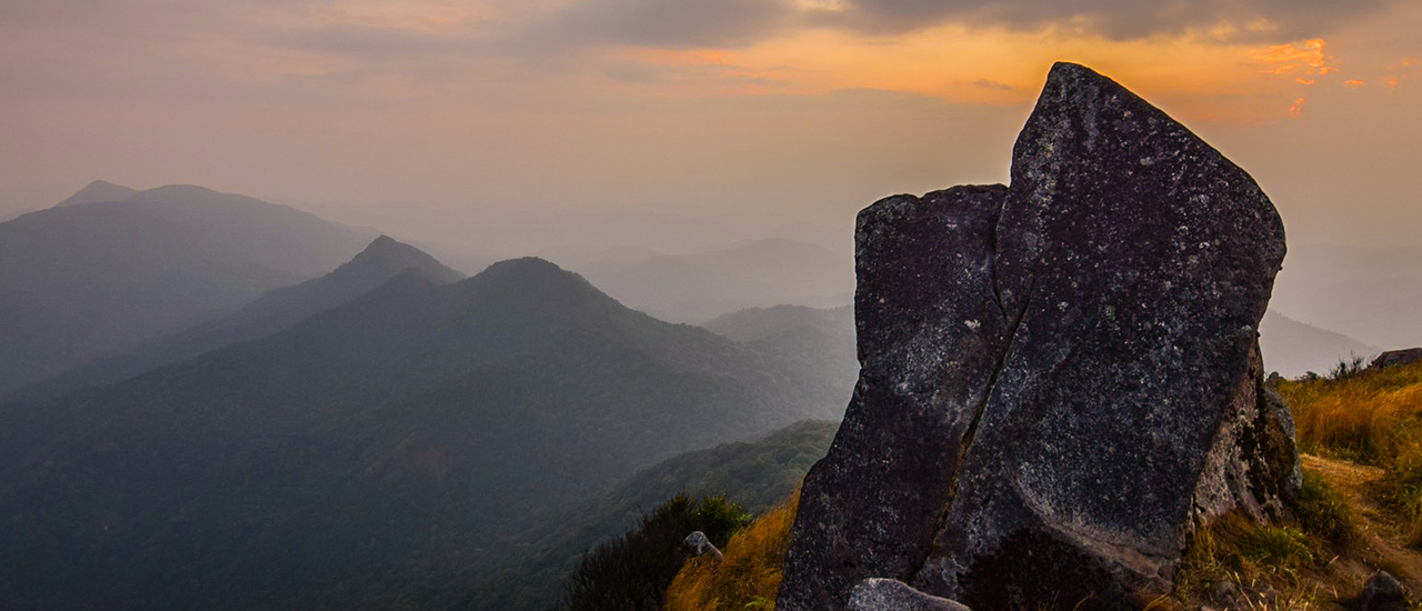 cover การเดินทางที่รอคอย " โมโกจู "