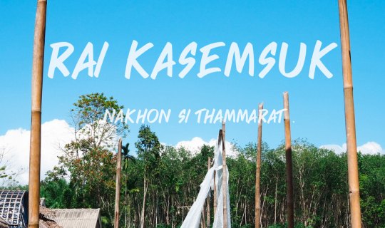 Cover ไร่เกษมสุข : ไร่เล็กๆ ที่เต็มไปด้วยความสุข ( Rai Kasemsuk )...