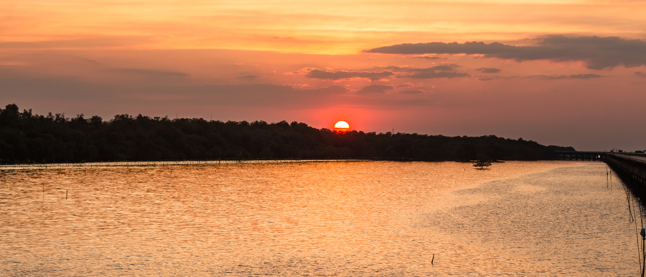 cover สะพานใหม่ชลบุรี ต้องมาลอง?