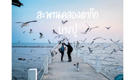 cover ไปบางปู ? ไปทำอะไร ? ไปดูนก ไปดูพระอาทิตย์ตกดินริมทะเล ชิคๆชิวๆ 🌞🐦🌊