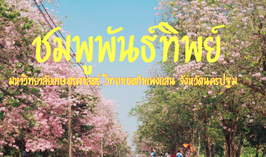 Cover ให้มันสีชมพู @ม.เกษตร กำแพงแสน...