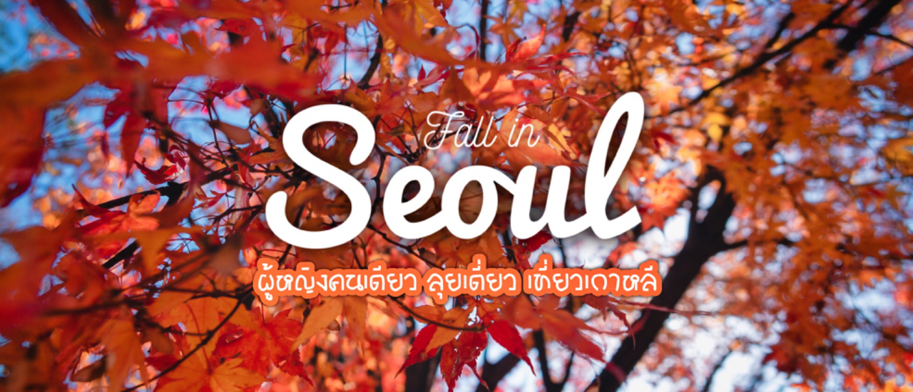 cover ✿ : : KOREA : : ✿ ~ 5 วัน 3 คืน ~ Fall in Seoul ผู้หญิงคนเดียว ลุยเดี่ยว เที่ยวเกาหลี (Nov 19-23,2019)