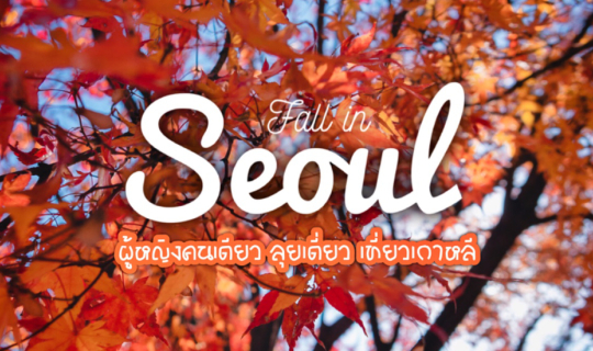 cover ✿ : : KOREA : : ✿ ~ 5 วัน 3 คืน ~ Fall in Seoul ผู้หญิงคนเดียว ลุยเดี่ยว เที่ยวเกาหลี (Nov 19-23,2019)