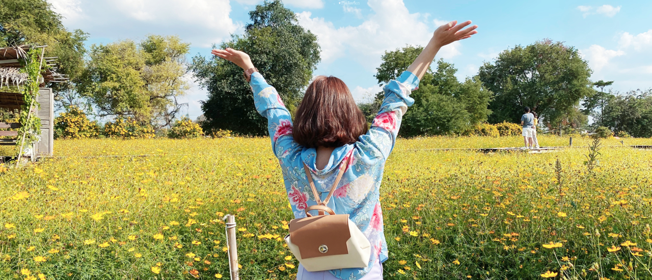 cover "กระเพรา & coffee" คาเฟ่สุดชิล วิวสะพานไม้ท่ามกลางทุ่งดอกดาวกระจาย 🌼