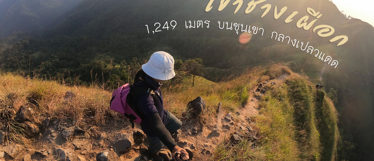 cover เขาช้างเผือก 1,249 เมตร บนขุนเขา กลางเปลวแดด