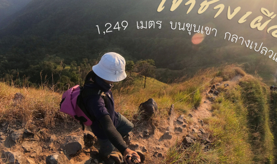 cover เขาช้างเผือก 1,249 เมตร บนขุนเขา กลางเปลวแดด
