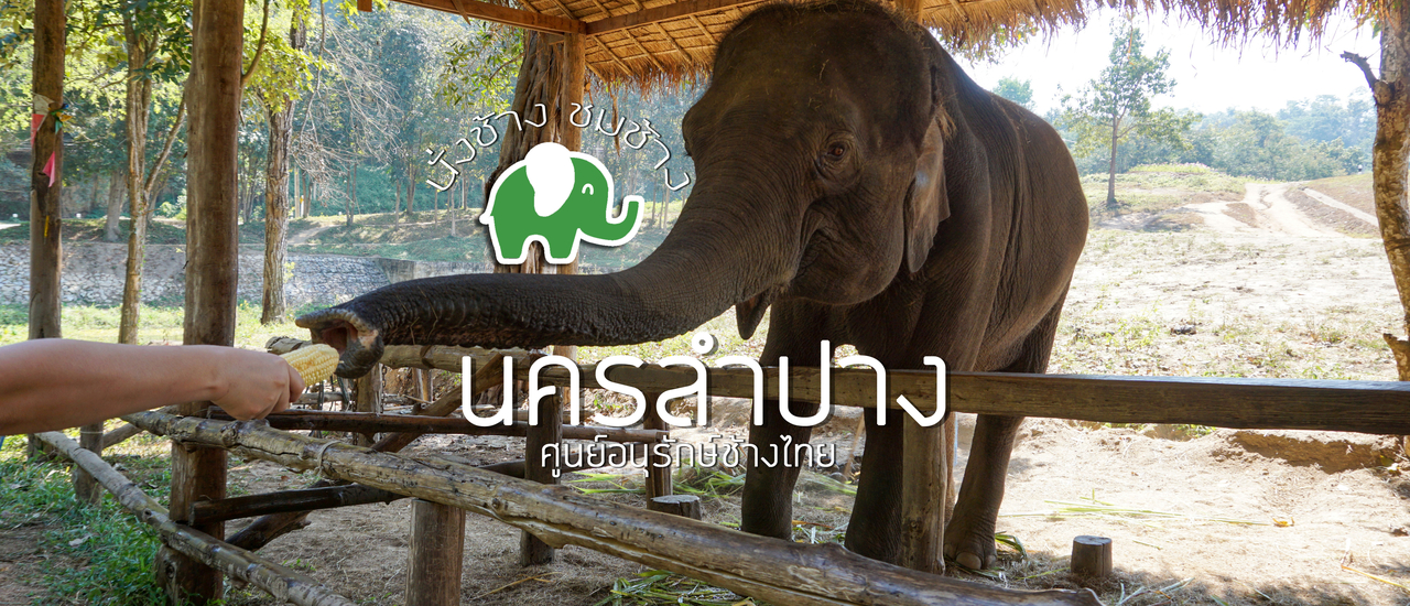 cover นั่งช้างที่ศูนย์อนุรักษ์ช้างไทย-ลำปาง