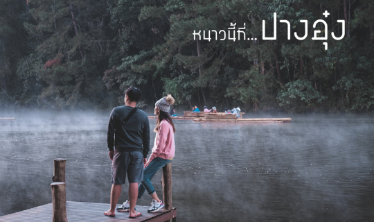 cover Pang Ung: • Camping at Pang Ung Reservoir with beautiful mists and mountain pines.