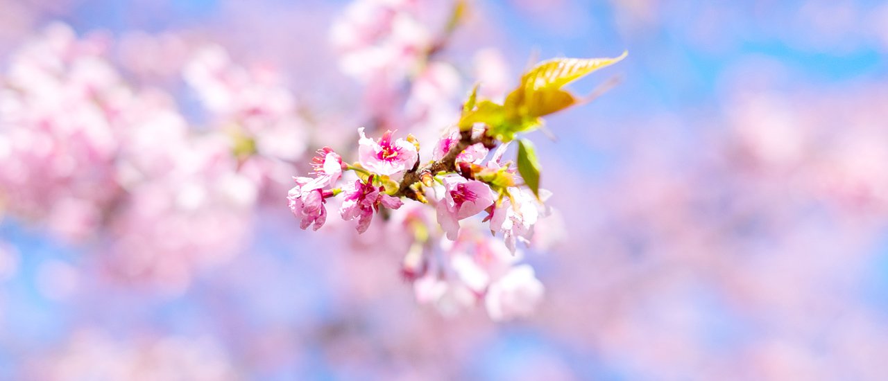 cover ... 2 วัน อันมหาศาล ... Start ความฝัน ที่ คิวชูเหนือ...Things to see & Things to snap. ตอนที่ 3 : บทสรุปและโบนัสพิเศษ