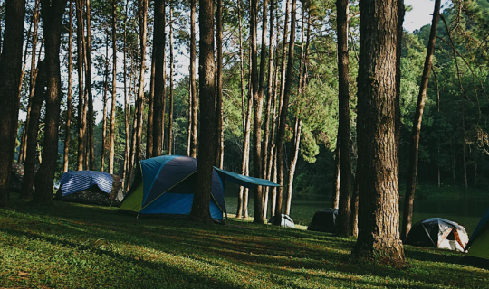 Cover intendtotravel X ปางอุ๋ง🌲☘️...