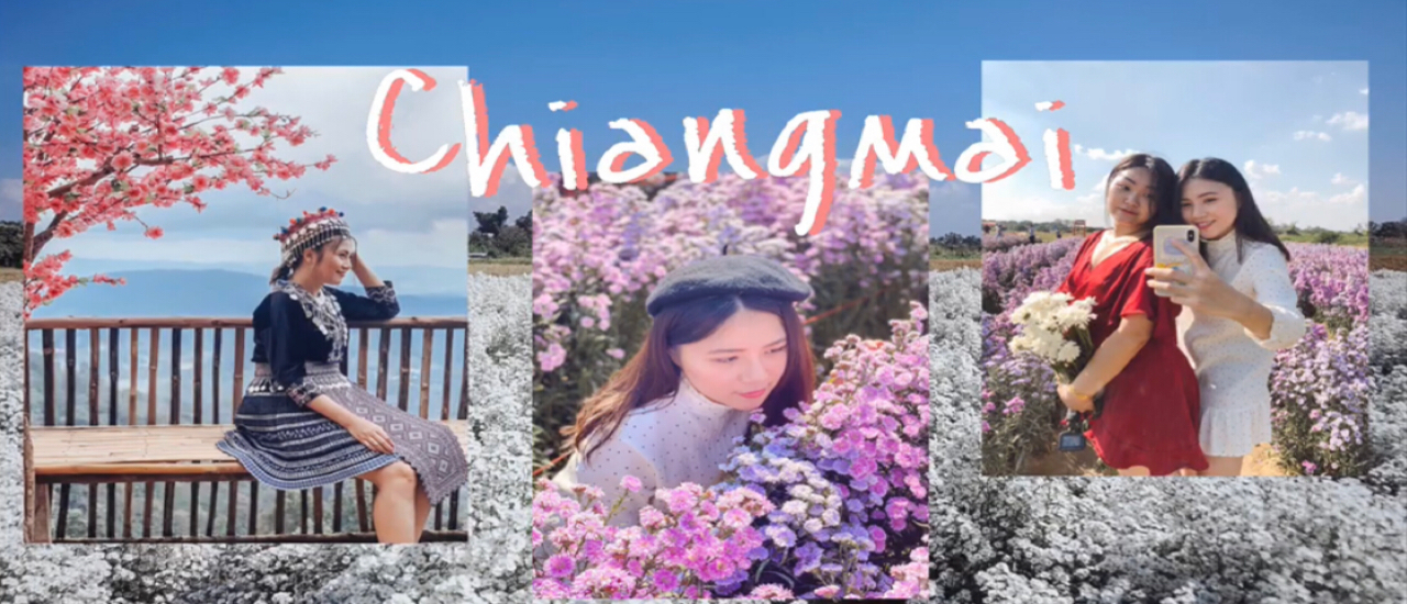 cover พาแอ่วเชียวใหม่ 4 วัน 3 คืน ชมสวนดอกไม้ นอนเต็นท์โดมสุดฮิต กินหมูกระทะบนดอย ไหว้พระทำบุญ