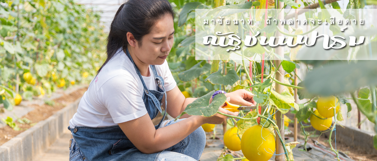 cover มาชัยนาท ถ้าพลาดจะเสียดาย “ณัฐชนนฟาร์ม”