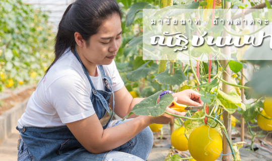 cover มาชัยนาท ถ้าพลาดจะเสียดาย “ณัฐชนนฟาร์ม”