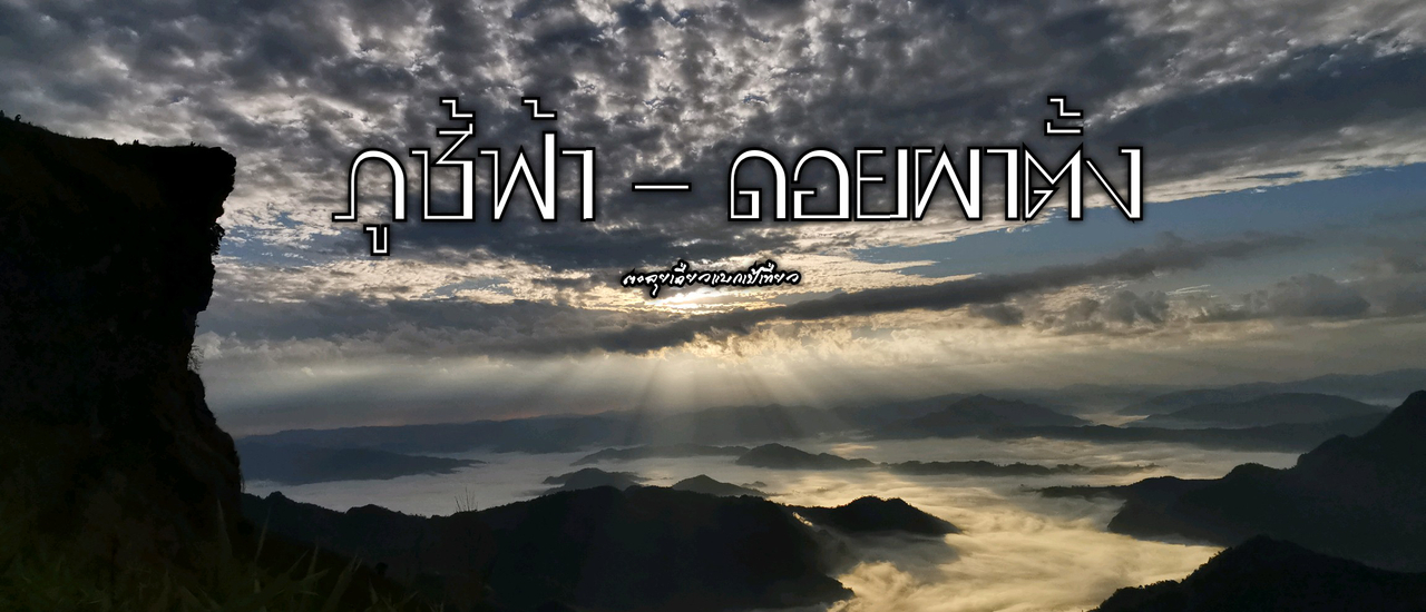 cover ภูชี้ฟ้า - ดอยผาตั้ง