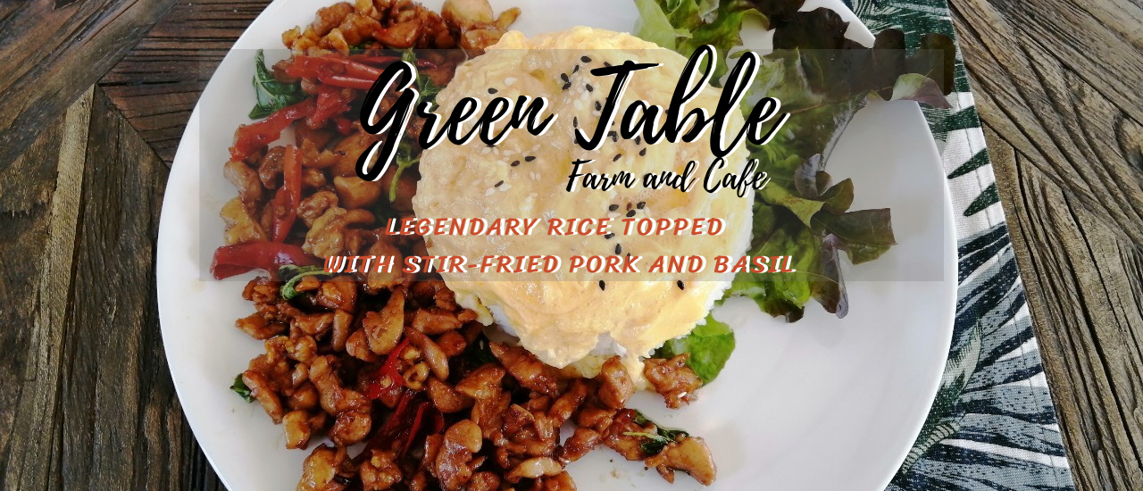 cover Legendary Rice topped with stir-fried pork and basil @ Green Table Farm and Cafe