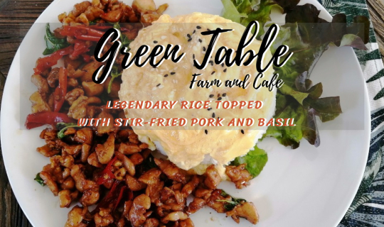 Cover Legendary Rice topped with stir-fried pork and basil @ Green Table F...