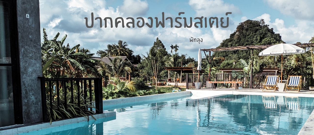 cover ปากคลองฟาร์มสเตย์