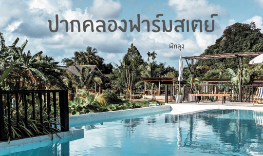 cover ปากคลองฟาร์มสเตย์