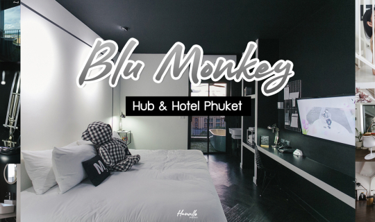 cover Blu Monkey Hub & Hotel @Phuket ที่พักใจกลางเมือง นอนสบายถ่ายรูปสวย