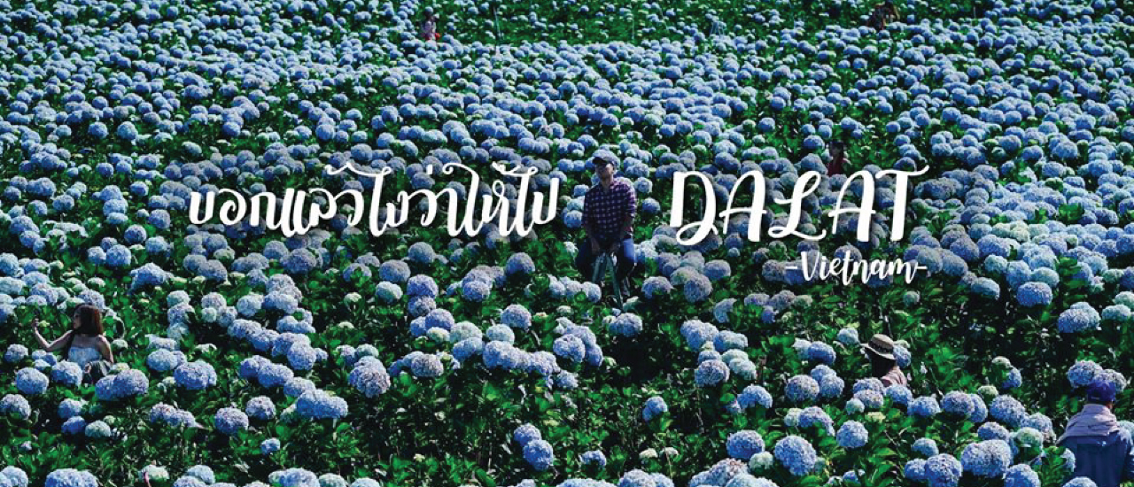 cover DALAT...บอกแล้วไงว่าให้ไปดาลัด เวียดนาม