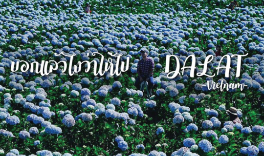 cover DALAT...บอกแล้วไงว่าให้ไปดาลัด เวียดนาม
