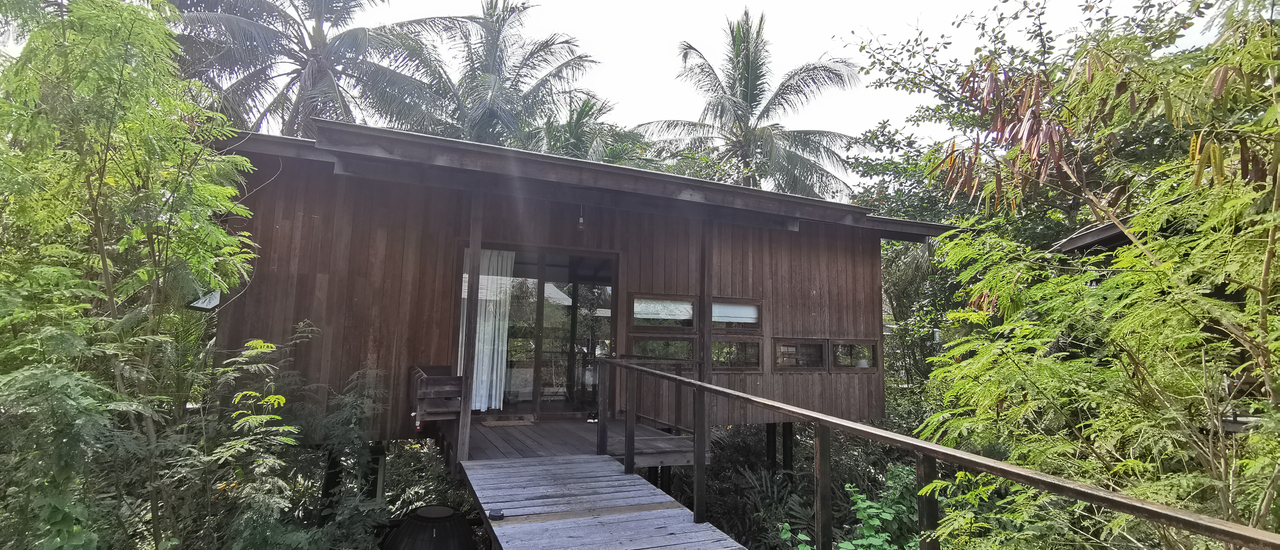 cover ชวนกิน เที่ยว พักผ่อน บางน้ำผึ้ง บางกระเจ้า แหล่งโอโซนอันดับต้น ๆ ของโลก