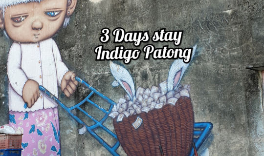 cover 3 Days stay Indigo Patong,Phuket