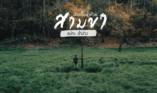 Cover ผืนหญ้าเขียวๆกลางหุบเขา ในอ่างเก็บน้ำห้วยสามขา | ลำปาง...