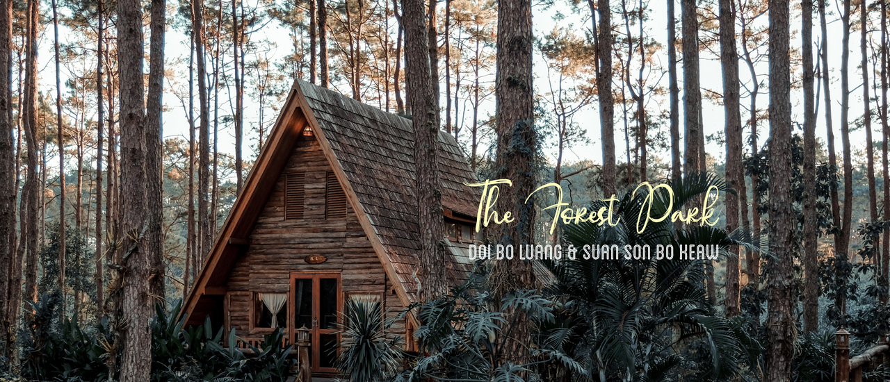 cover นอนป่าสน ชมความโรแมนติค สวนป่าดอยบ่อหลวง & สวนสนบ่อแก้ว