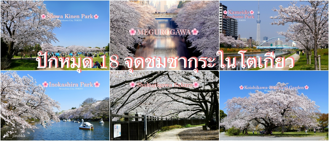 cover ปักหมุด 18 จุดชม 🌸ซากุระ🌸 ในโตเกียว