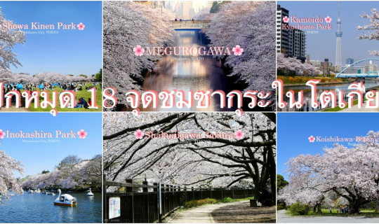 Cover ปักหมุด 18 จุดชม 🌸ซากุระ🌸 ในโตเกียว...
