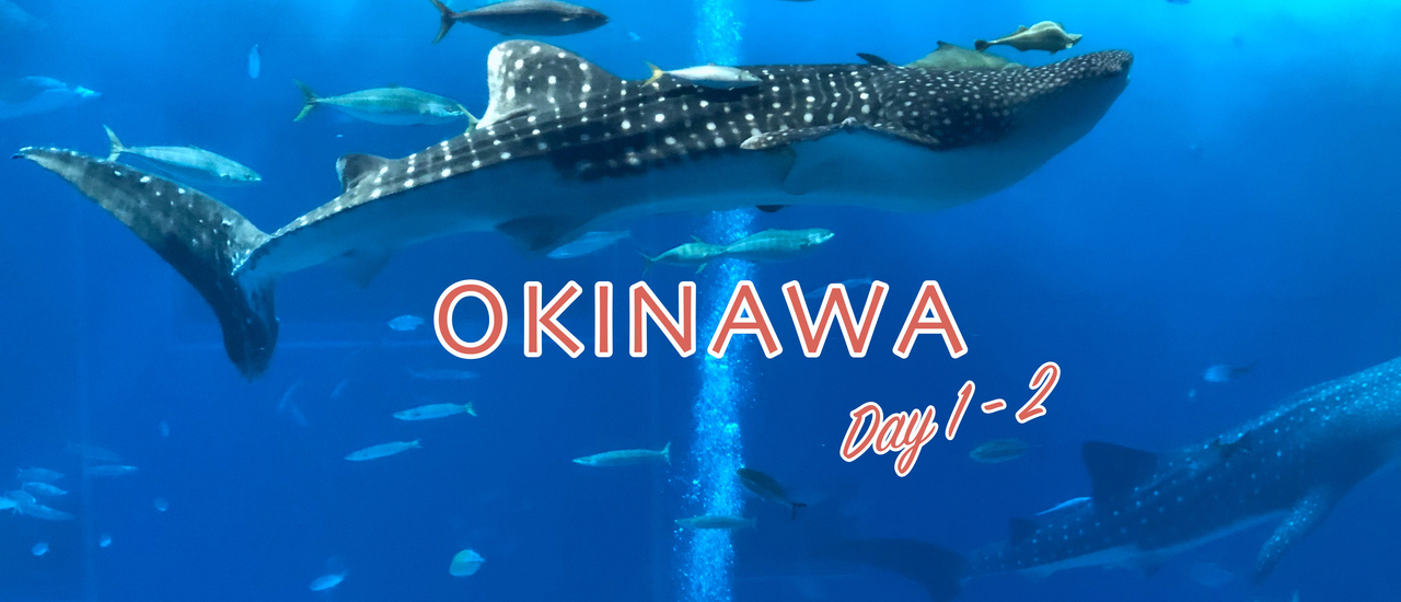 cover ท่องเที่ยวธรรมชาติ ทะเลสีฟ้าคราม ดูปลาวาฬ Okinawa,Japan (EP 1)