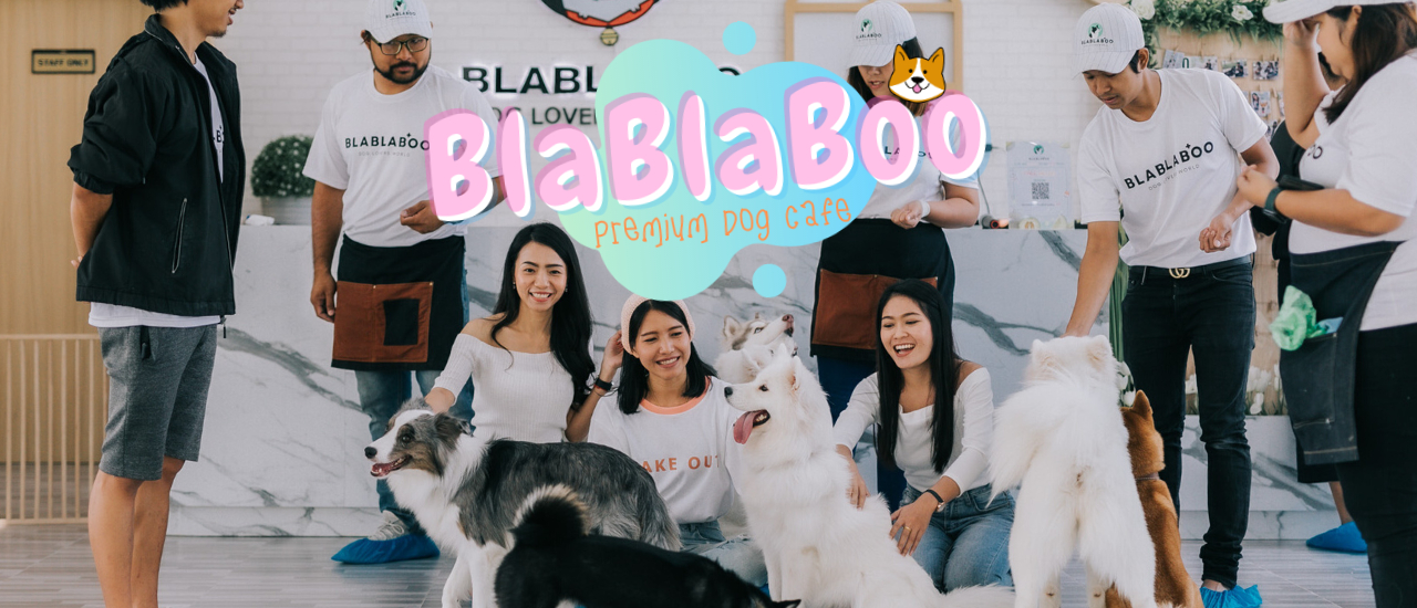 cover BLABLABoo - Premium Dog Cafe แห่งเดียวในอยุธยา  น้องหมาน่ารักมาก ไม่ไปไม่ได้แล้วแหละ
