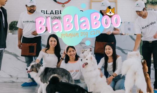 cover BLABLABoo - Premium Dog Cafe แห่งเดียวในอยุธยา  น้องหมาน่ารักมาก ไม่ไปไม่ได้แล้วแหละ