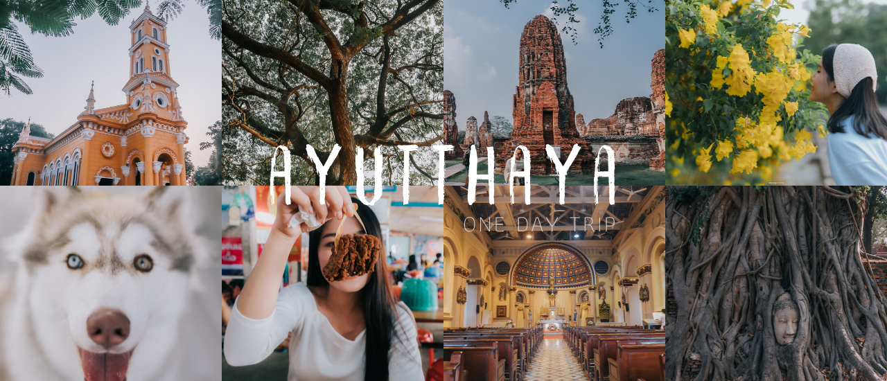 cover One Day Trip อยุธยา ไปไหนดี