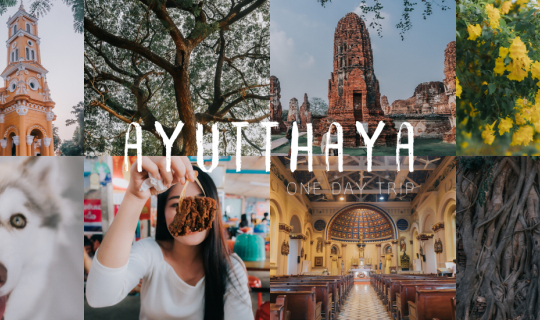 cover One Day Trip อยุธยา ไปไหนดี