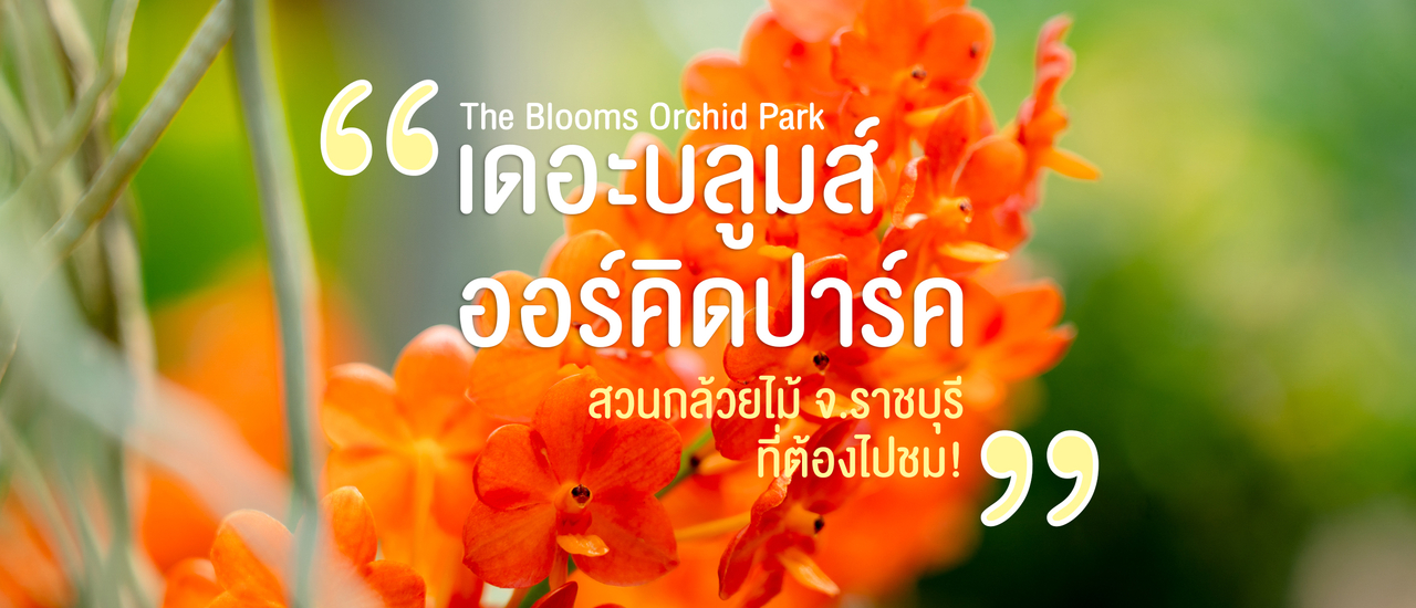 cover The Blooms Orchid Park (เดอะบลูมส์ ออร์คิดปาร์ค) สวนกล้วยไม้ จ.ราชบุรี ที่ต้องไปชม!