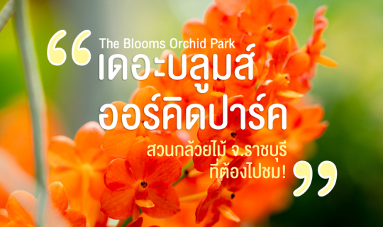 Cover The Blooms Orchid Park (เดอะบลูมส์ ออร์คิดปาร์ค) สวนกล้วยไม้ จ.ราชบุ...