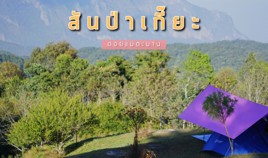 cover " สันป่าเกี๊ยะ " ขึ้นไปนอนหนาว แล้วดูวิวดอยเชียงดาว | เชียงใหม่