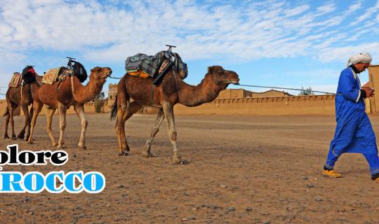 cover Explore MOROCCO#4 : แผ่นฟ้าจรดผืนทราย ที่ Merzouga