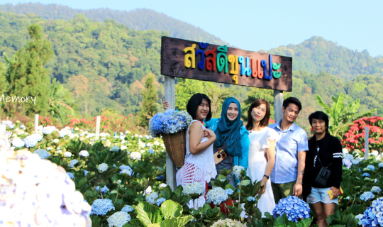 Cover เชียงใหม่จ๋า พี่มาอีกแล้วคืนที่ 1  - ขุนแปะ ทุ่งดอกไฮเดรนเยีย บานสะพ...