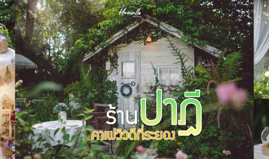 cover ชวนจิบชาในสวนสวยสไตล์อังกฤษที่ ร้านปาฎี @Rayong