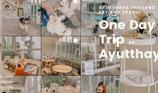 cover One Day Trip อยุธยา .. ไปเที่ยวคาเฟ่ เที่ยววัด เที่ยวพิพิธภัณฑ เที่ยวธรรมชาติ และเที่ยวตลาด ครบ : )