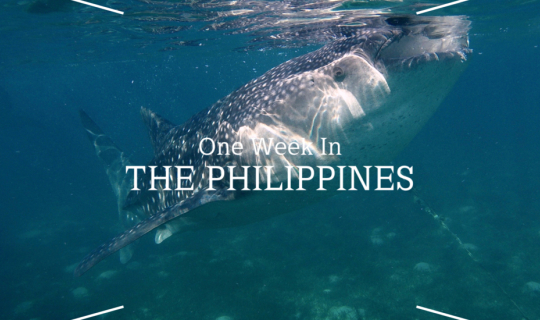 cover One week in the Philippines