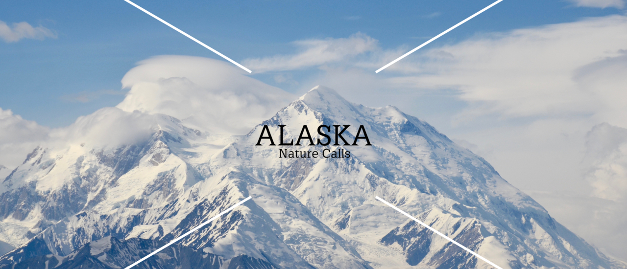 cover ALASKA: Nature Calls