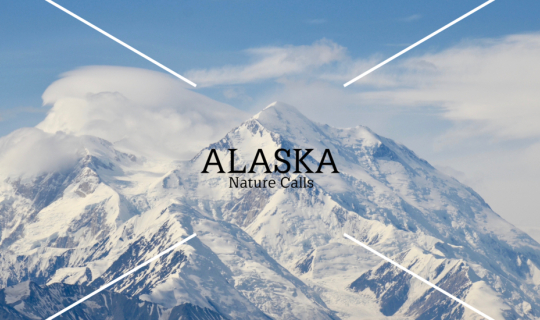 cover ALASKA: Nature Calls