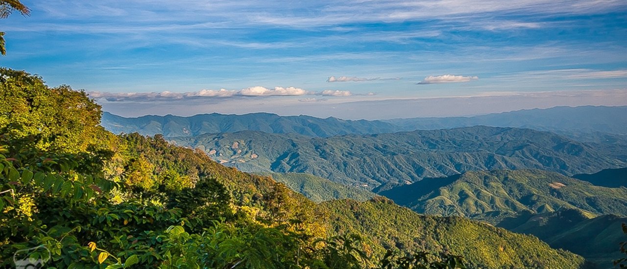 cover Travel in Nan City... The only touristic place in the world "Chompoo Phu Kha"