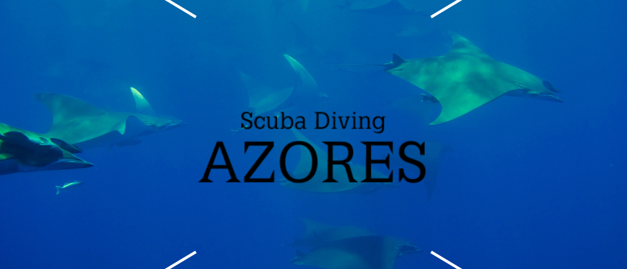 cover Scuba Diving: Azores