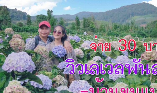 Cover บ้านขุนแปะ ดินแดนแห่งดอกไฮเดรนเยียร์...